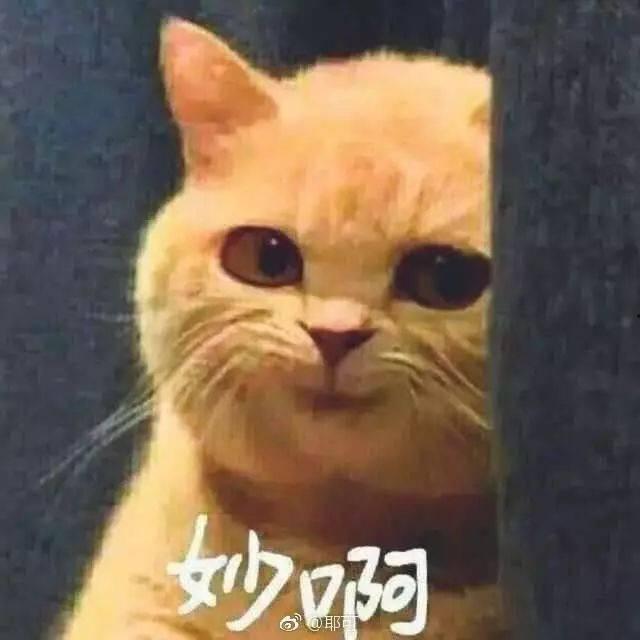 训练学姐吃瓜视频,揭秘校园生活趣味瞬间