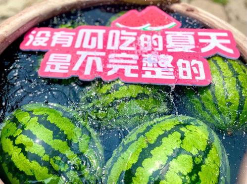 吃瓜大军团,揭秘娱乐圈幕后风云