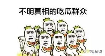 吃瓜群众讲,吃瓜群众视角下的娱乐圈风云录