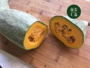 花蕾瓜是连皮吃吗,口感与营养的双重享受