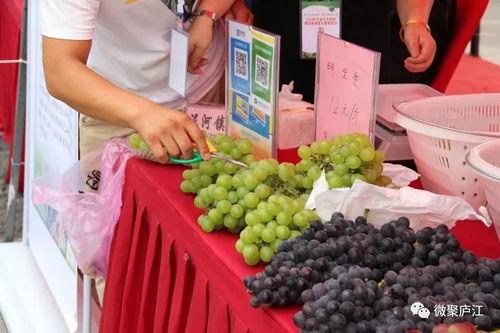 吃瓜金牛,揭秘金牛座在娱乐圈的“瓜田”生活