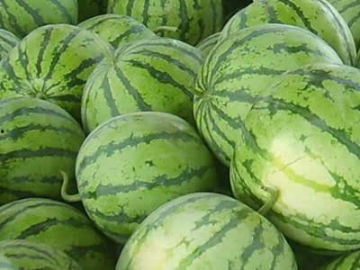 梦见分瓜给同事吃,同事间的友谊与默契