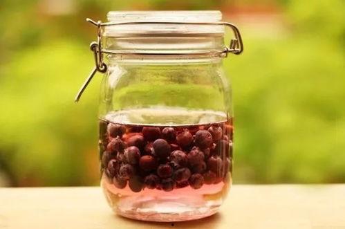 五爪瓜泡酒吃,古老秘方与现代生活的完美融合