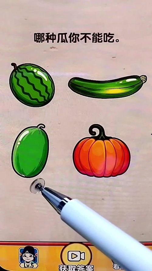 吃瓜不胖游戏,轻松减肥的趣味游戏体验