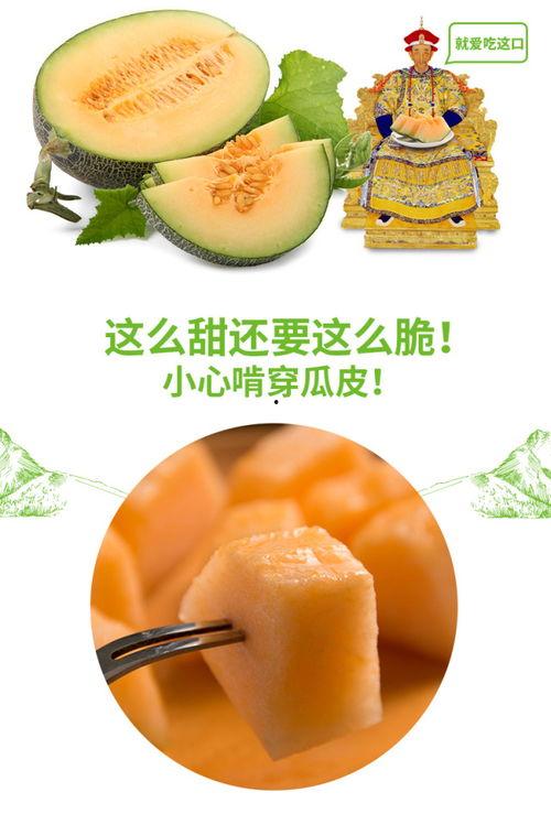 鹤吃蜜瓜吗,探寻鹤类与蜜瓜的奇妙缘分