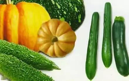 教场吃瓜,一场吃瓜盛宴背后的故事